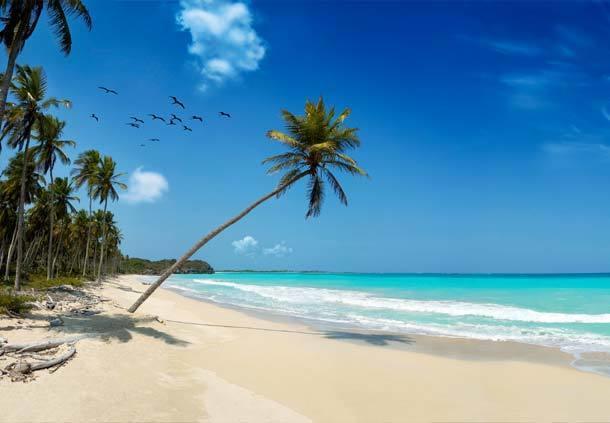 Mangro Hotel Diani Beach Exterior photo